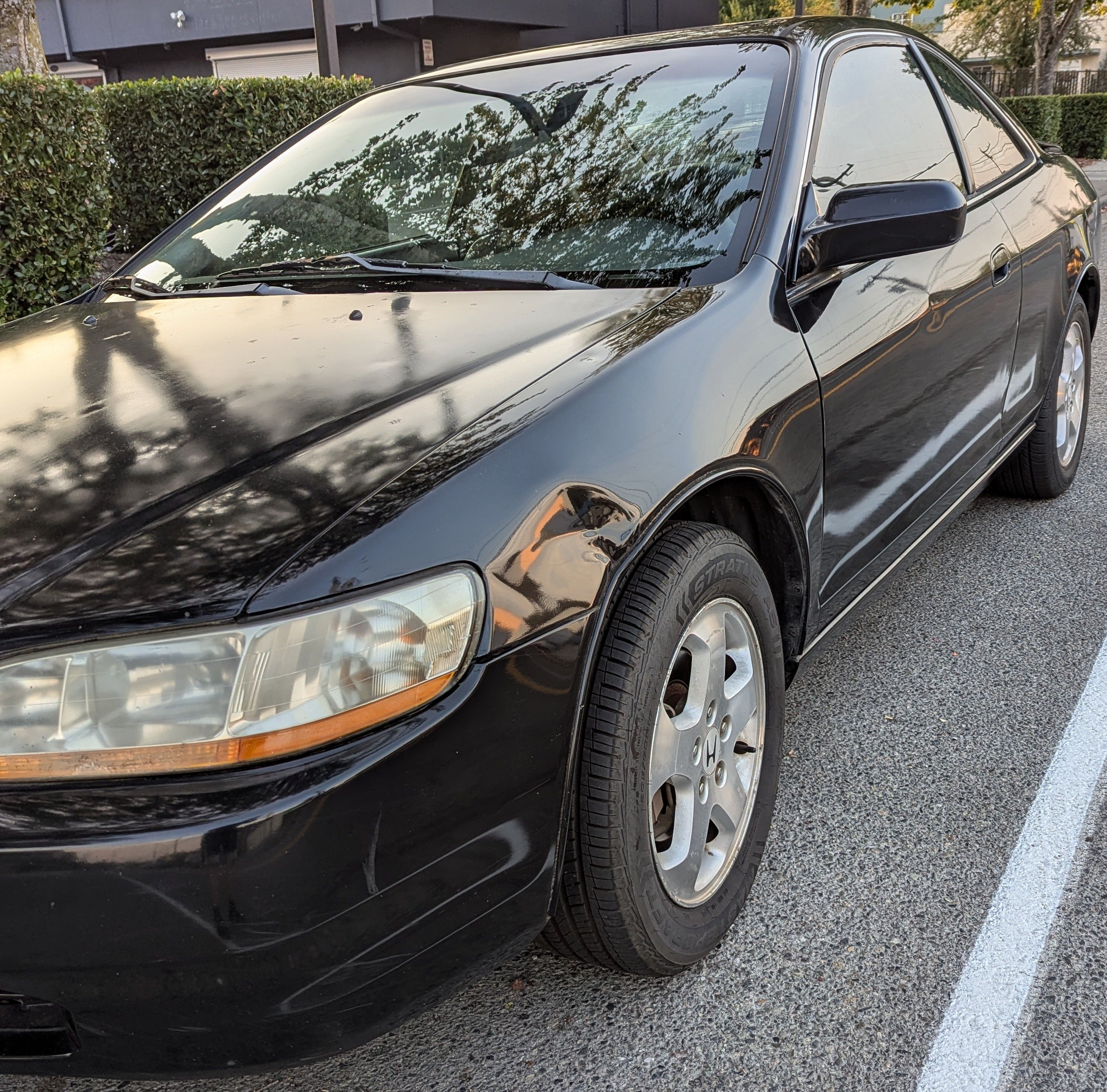 Used 1998 Honda Accord EX image 6