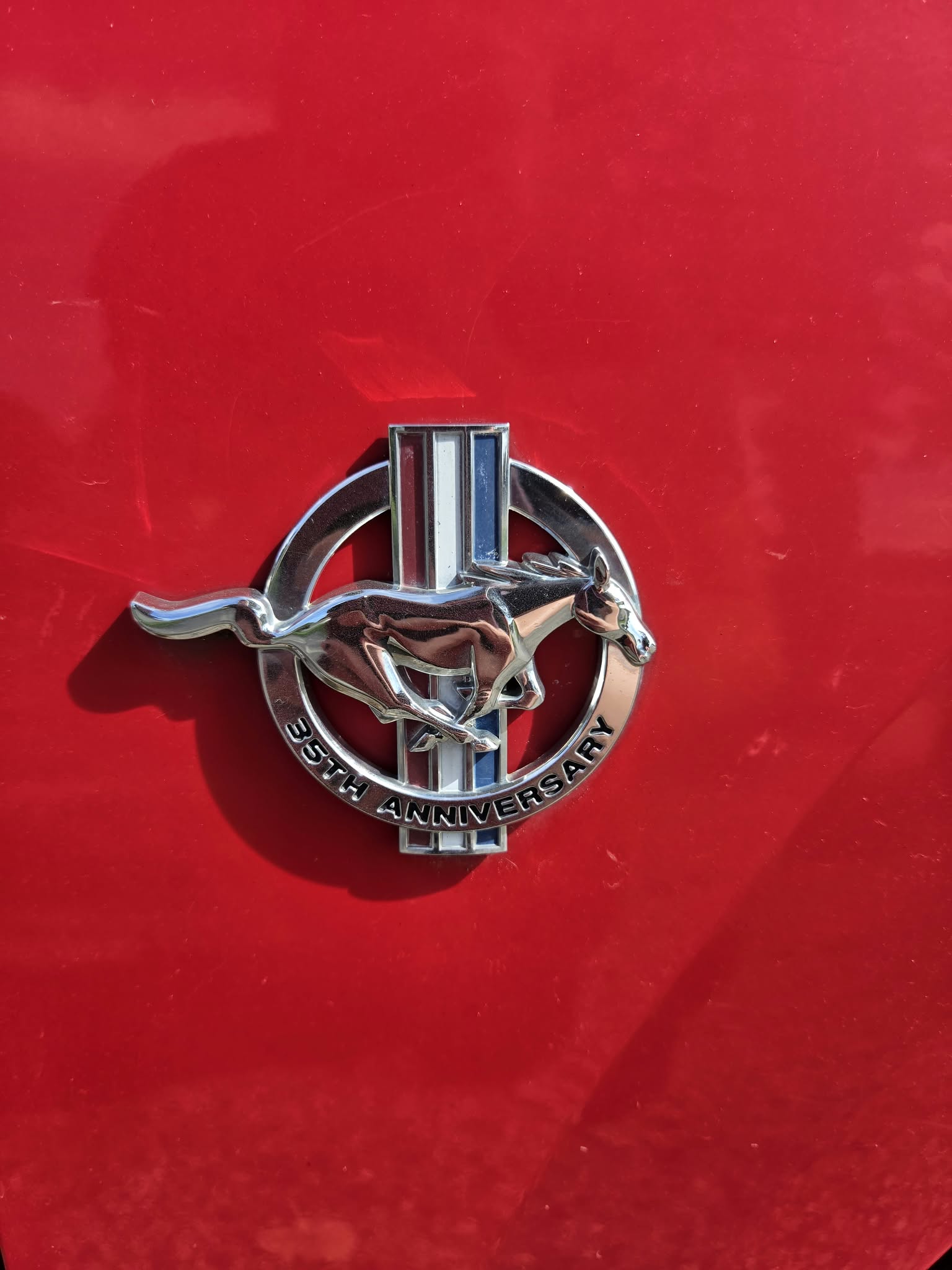 Used 1999 Ford Mustang Coupe RWD image 5