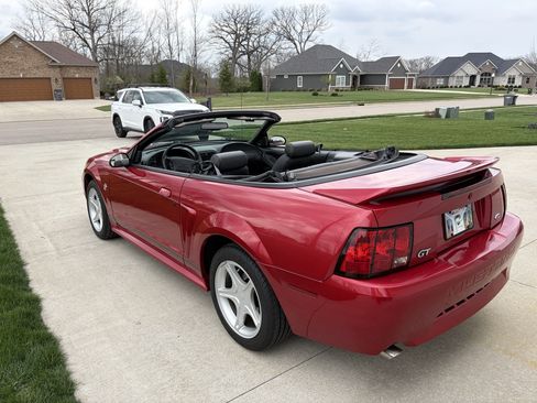 Used 1999 Ford Mustang GT image 6