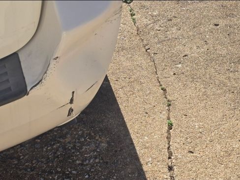 Used 2007 Kia Sedona EX image 6