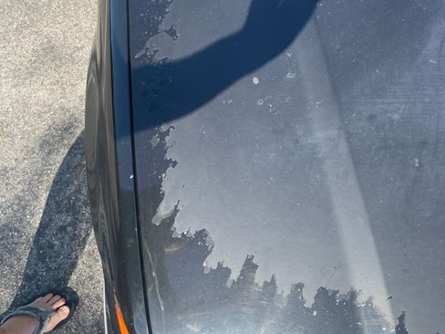 Used 1997 BMW 318ti 318ti Hatchback Coupe 2D image 29