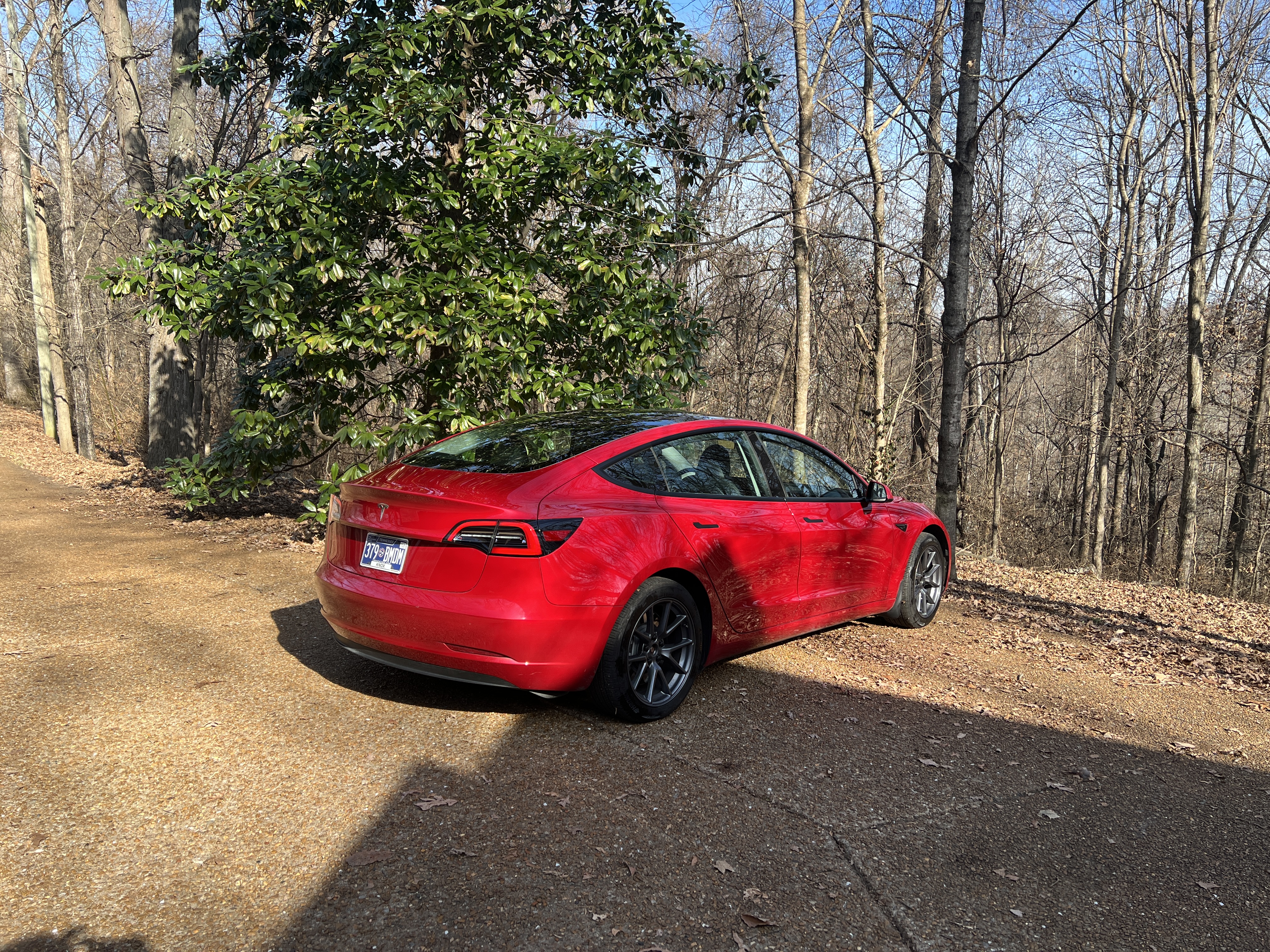 Used 2023 Tesla Model 3 Standard Range RWD image 9