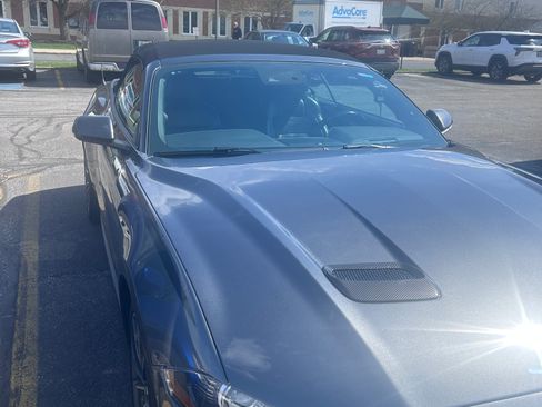 Used 2019 Ford Mustang Premium w/ Equipment Group 201A image 4