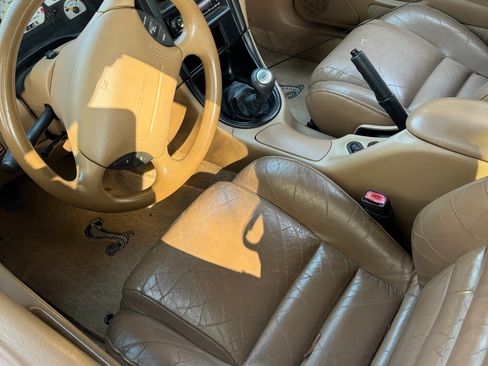 Used 1997 Ford Mustang Cobra RWD image 5