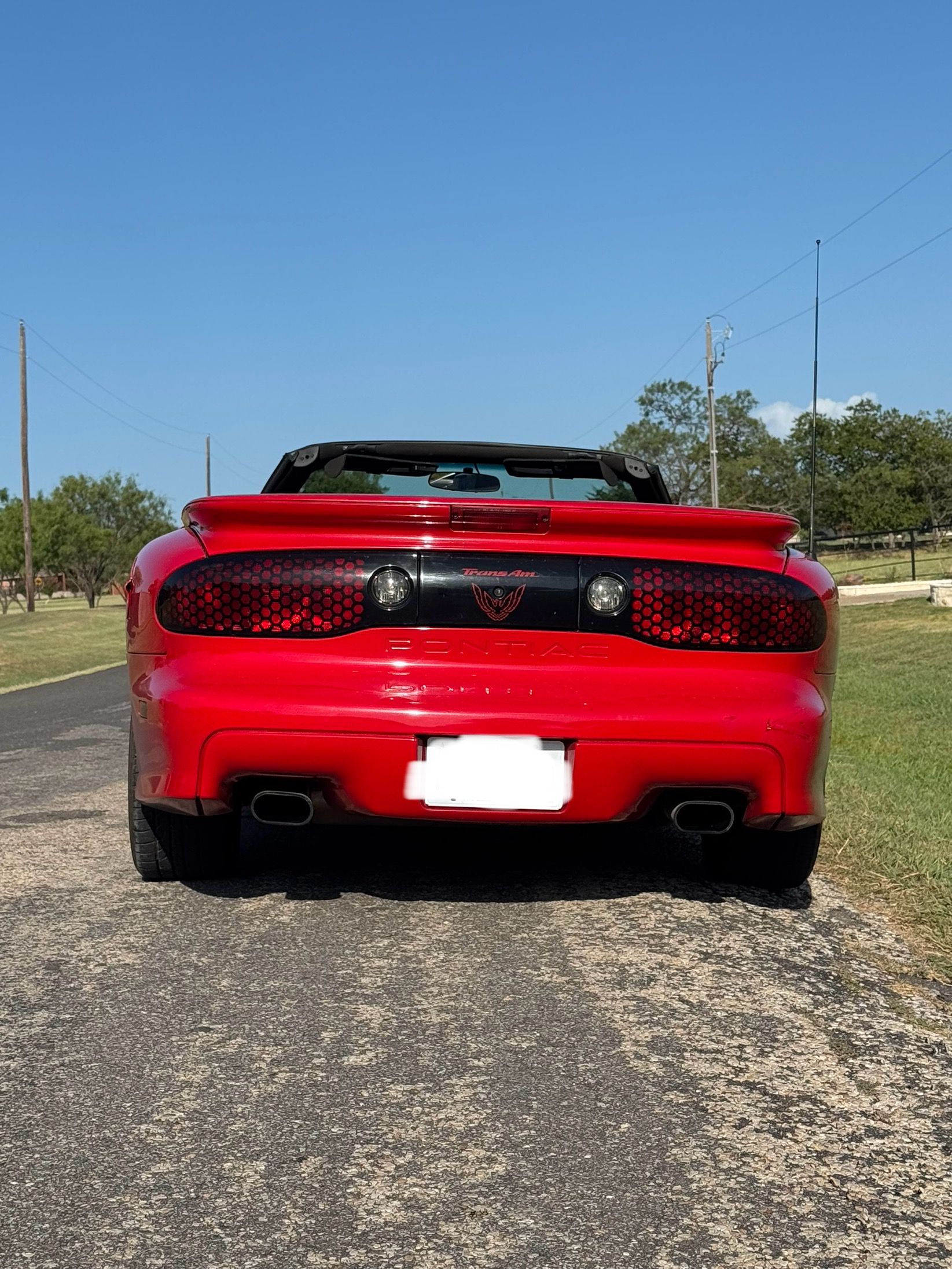 Used 2002 Pontiac Firebird Trans Am RWD image 6
