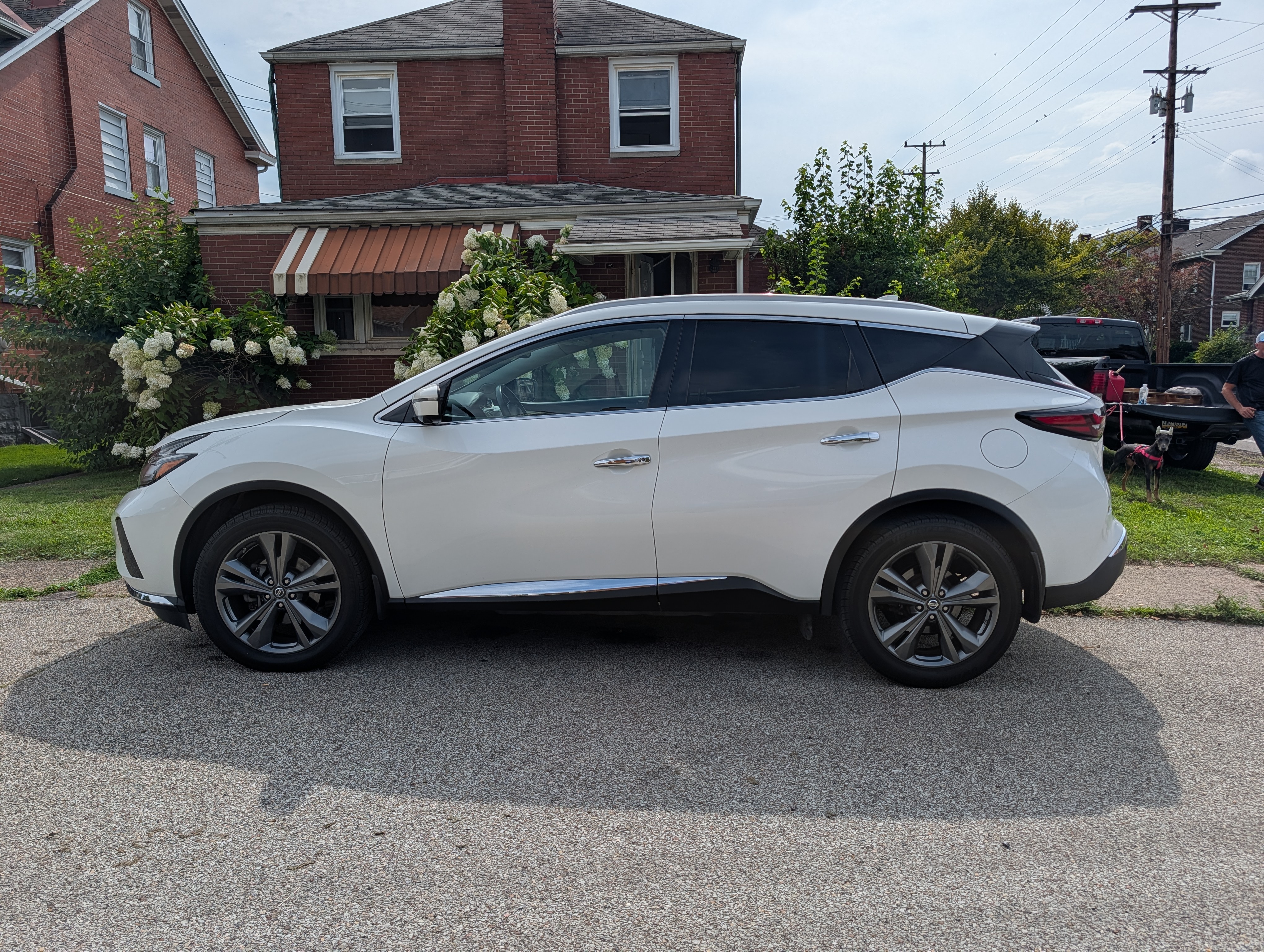 Used 2019 Nissan Murano Platinum w/ Cargo Package AWD/4WD image 1