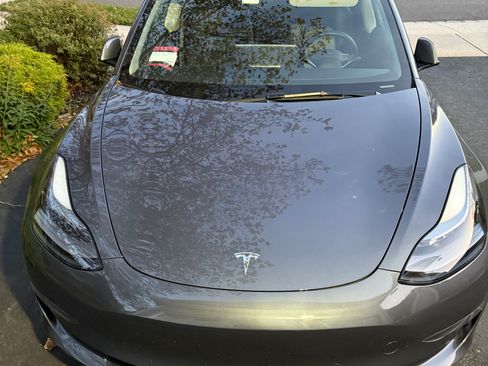 Used 2023 Tesla Model 3 Standard Range image 13