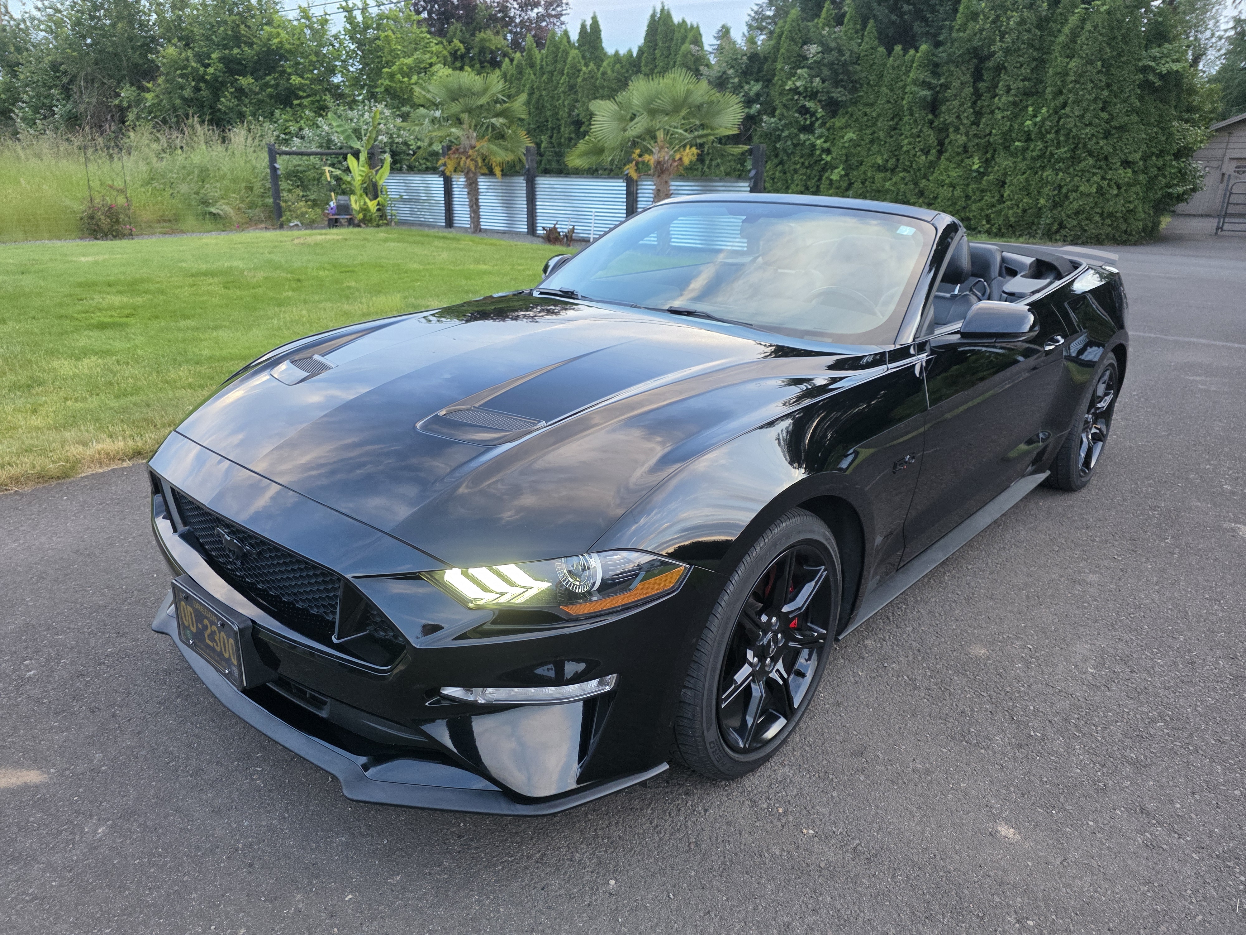 Used 2018 Ford Mustang GT Premium w/ Black Accent Package RWD image 19