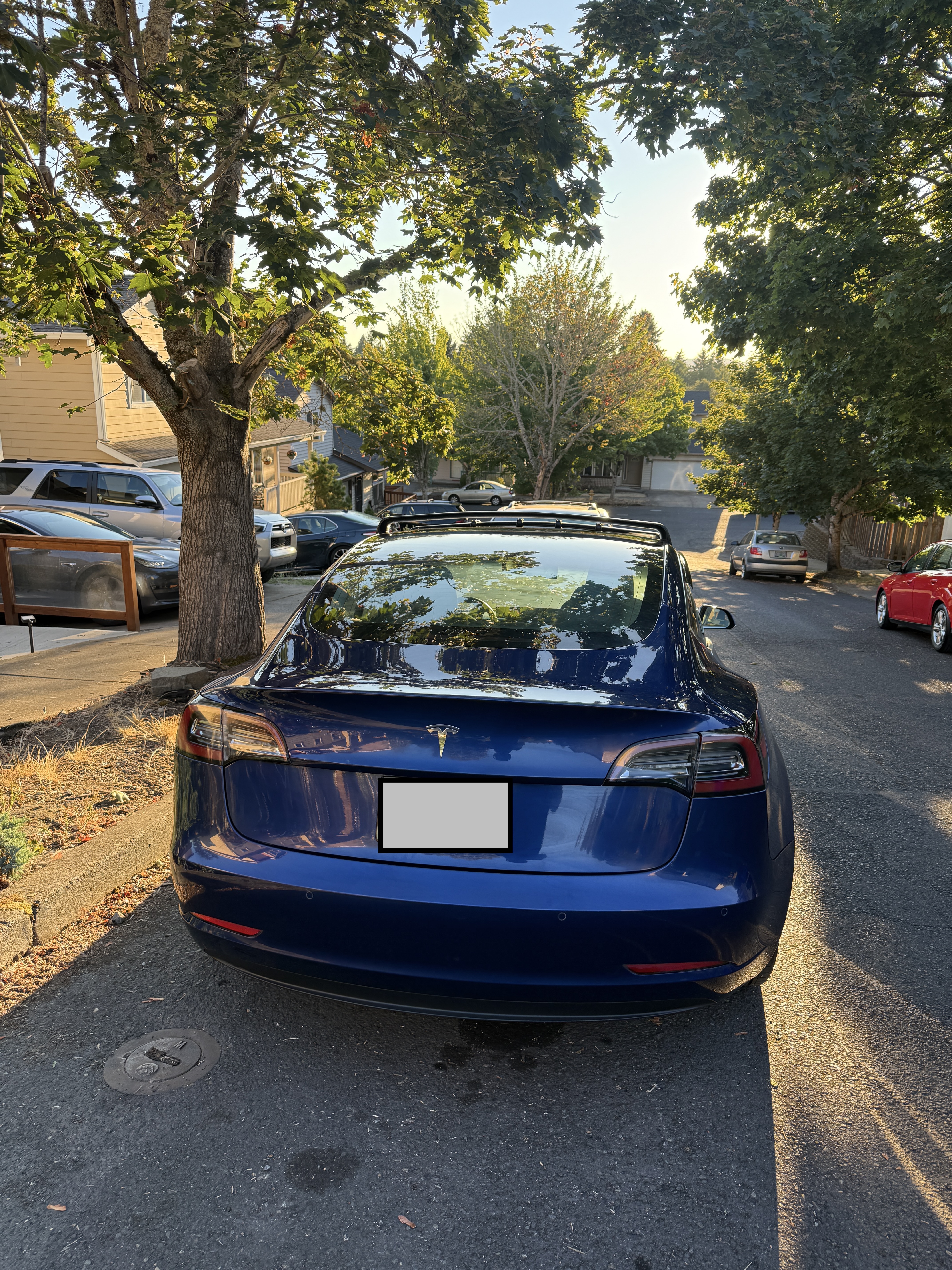 Used 2020 Tesla Model 3 Standard Range Plus RWD image 8