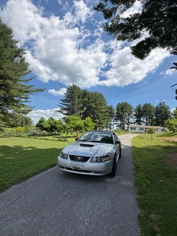 Used 2001 Ford Mustang GT Premium RWD image 8