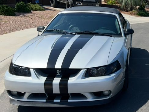 Used 2001 Ford Mustang Cobra image 2