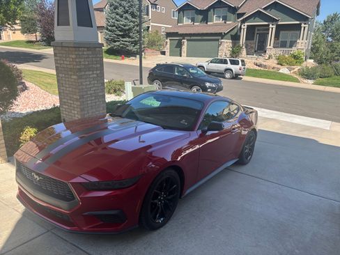 Used 2024 Ford Mustang Coupe w/ Mustang Nite Pony Package RWD image 1