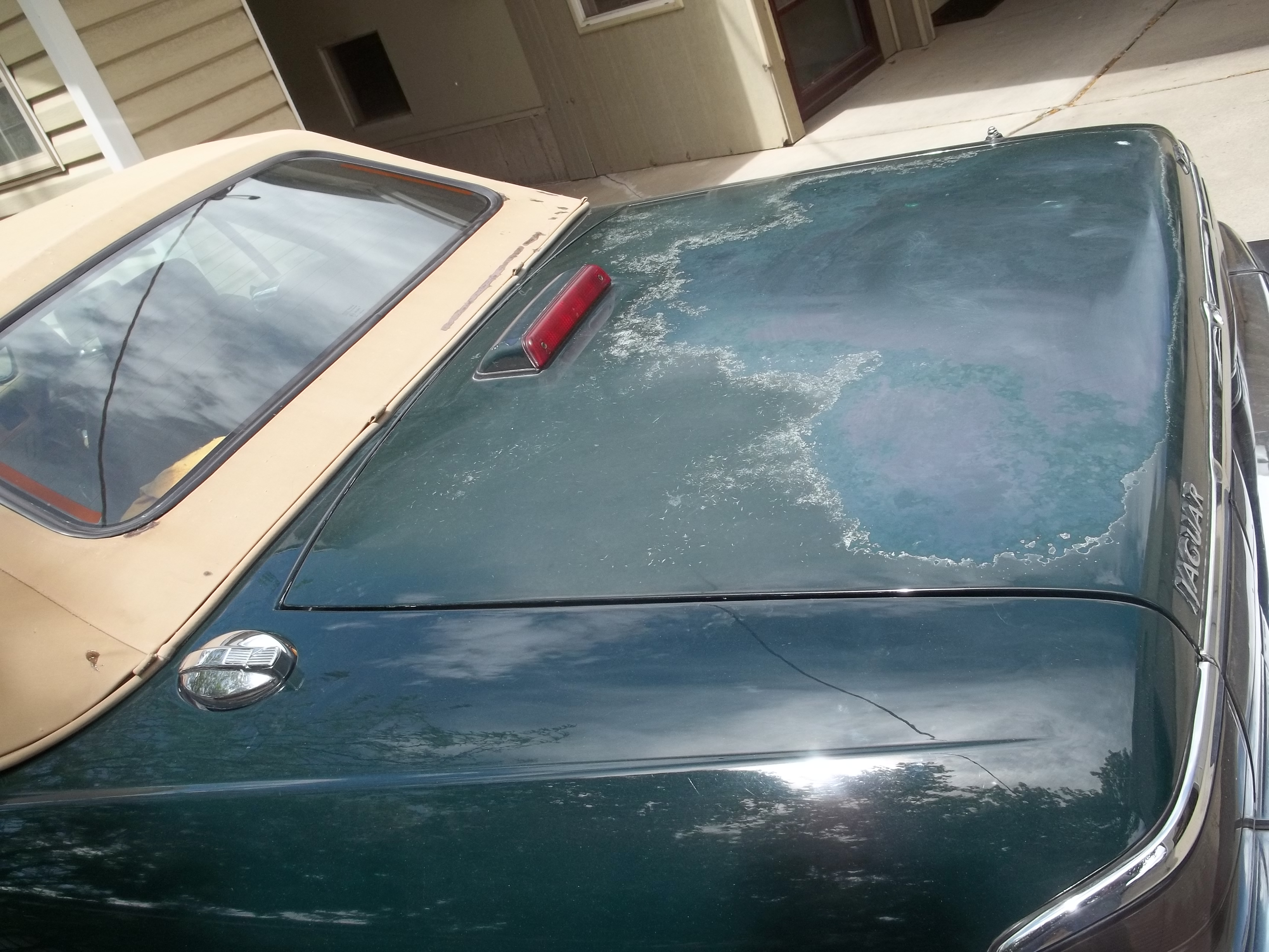 Used 1993 Jaguar XJS 4.0 Convertible RWD image 11