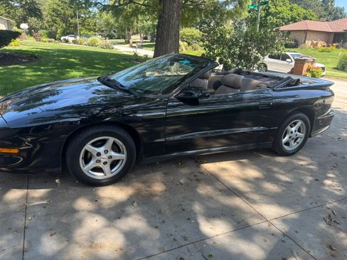Used 1995 Pontiac Firebird Trans Am RWD image 5