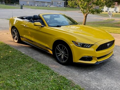 Used 2016 Ford Mustang Premium RWD image 4
