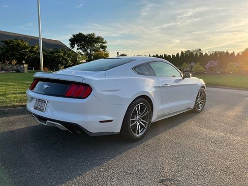 Used 2017 Ford Mustang Premium image 4