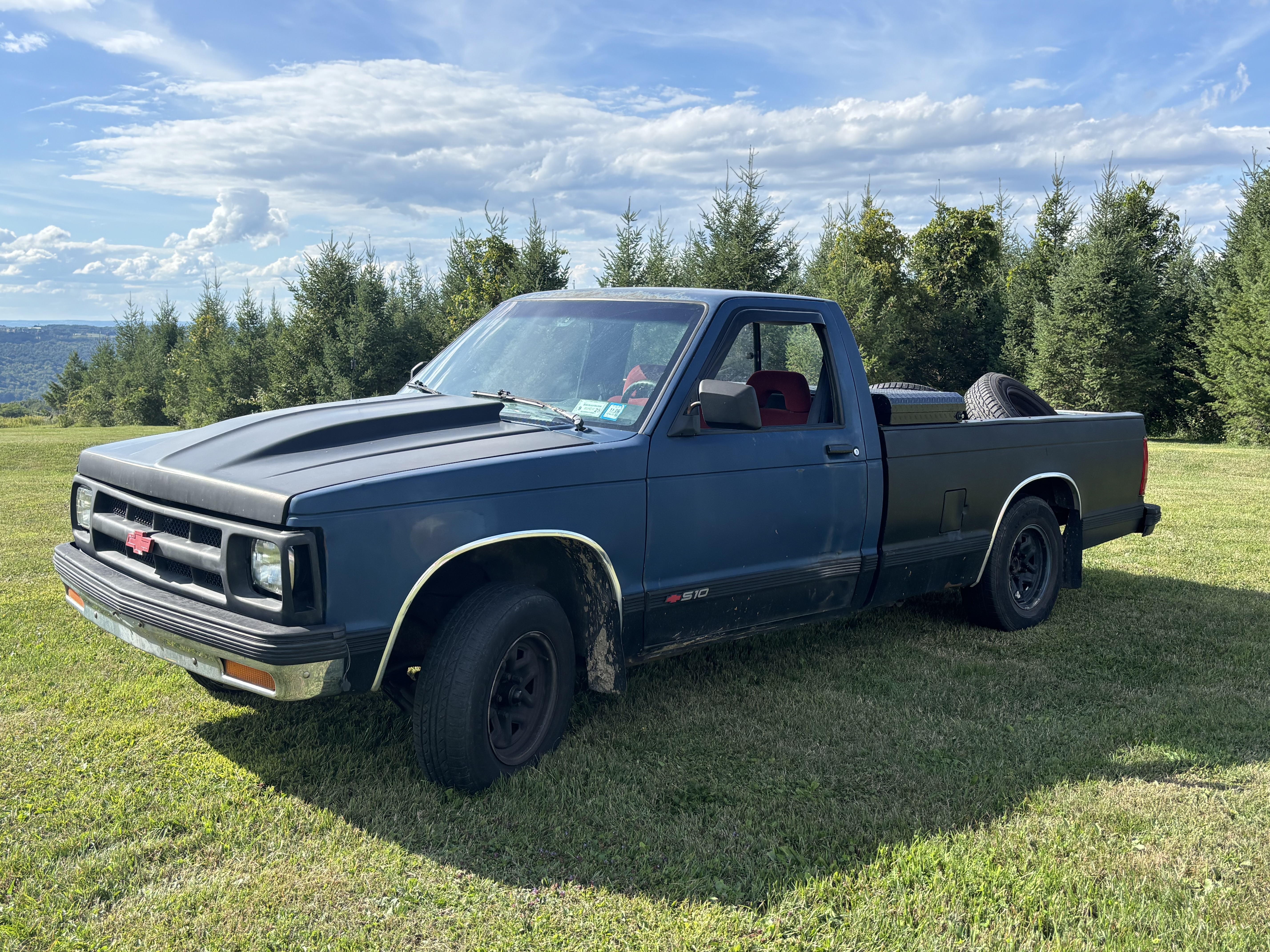 Used 1992 Chevrolet S10 Pickup 2WD Regular Cab image 1