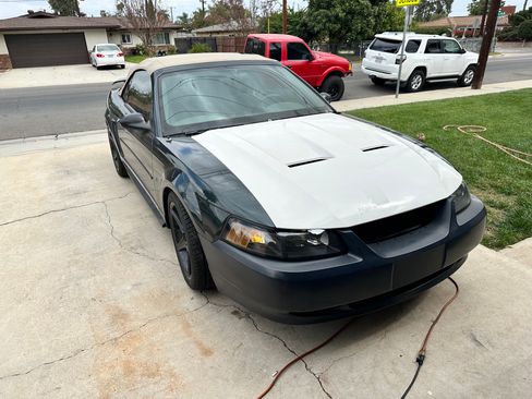 Used 1999 Ford Mustang Convertible RWD image 1