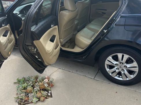 Used 2011 Honda Accord SE image 4