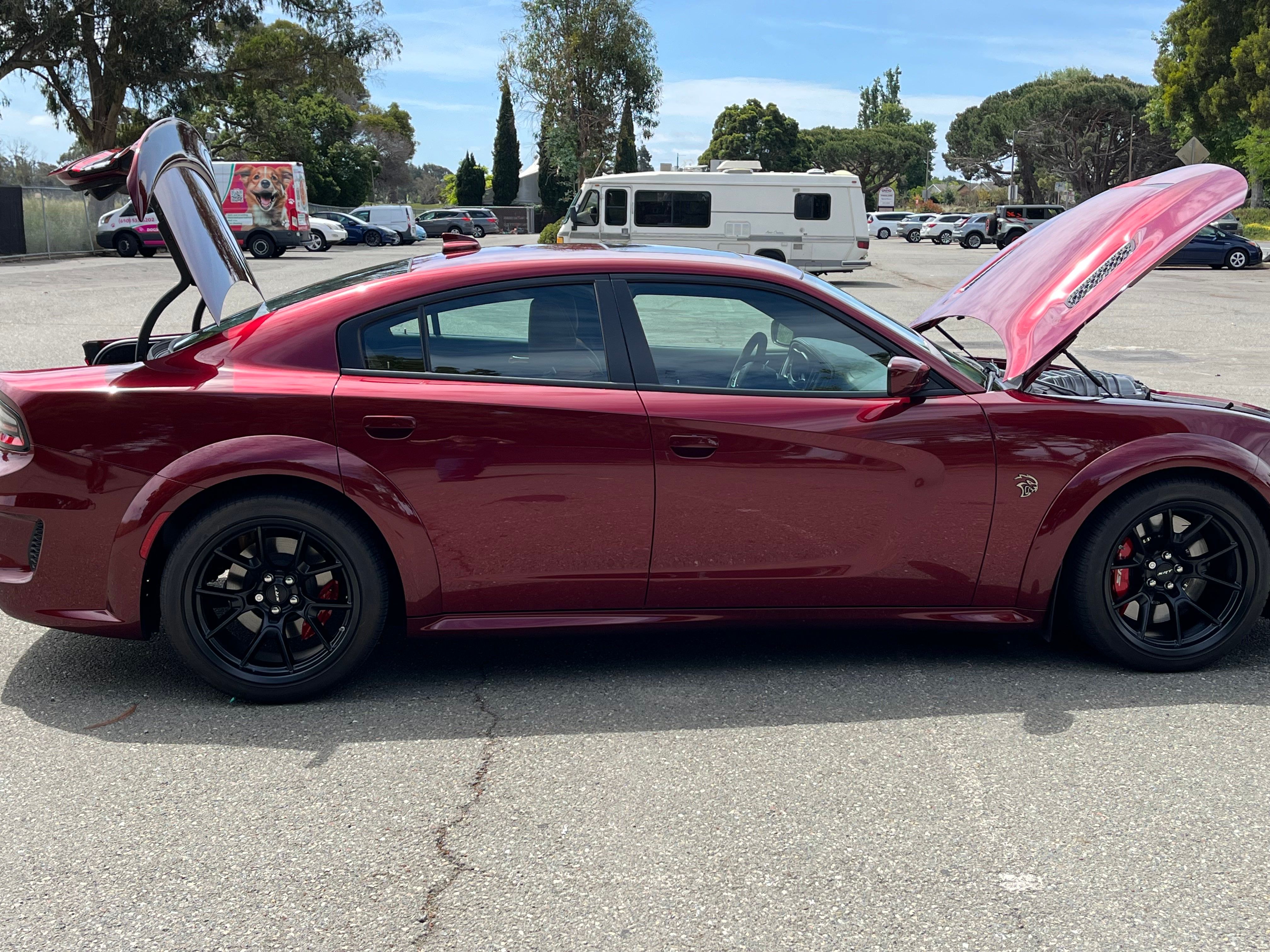 Used 2022 Dodge Charger SRT Hellcat RWD image 13