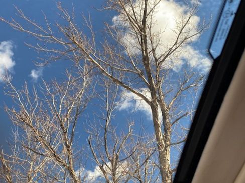 Used 2018 Ford EcoSport Titanium image 13