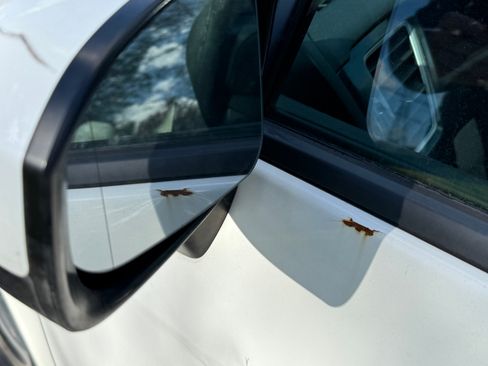 Used 2015 Honda Civic SE image 9