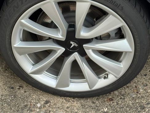 Used 2019 Tesla Model 3 Standard Range Plus image 15