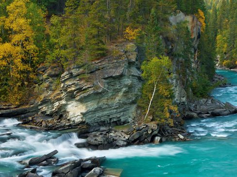 Used 2021 Ford F150 Tremor w/ Equipment Group 402A High image 18