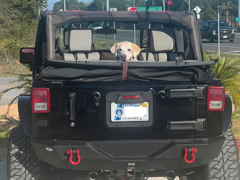 Used 2008 Jeep Wrangler Unlimited Sahara w/ Dual Top Group image 4