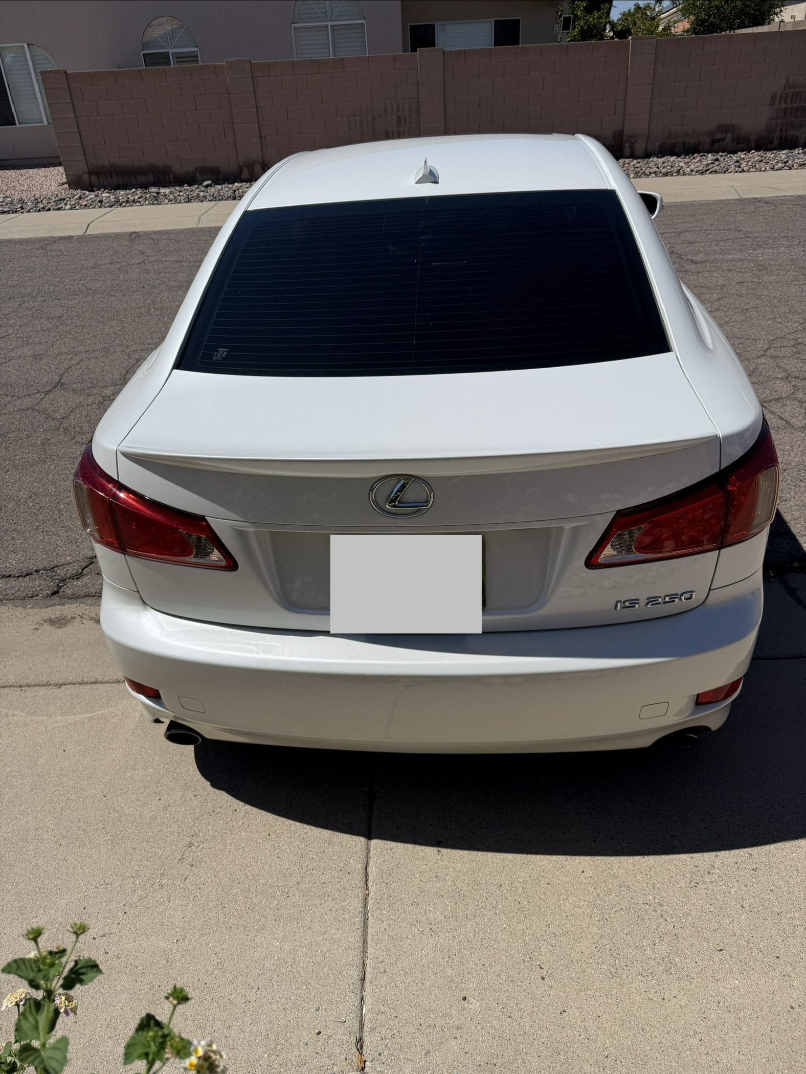 Used 2011 Lexus IS 250 w/ Premium Pkg Value Edition RWD image 4