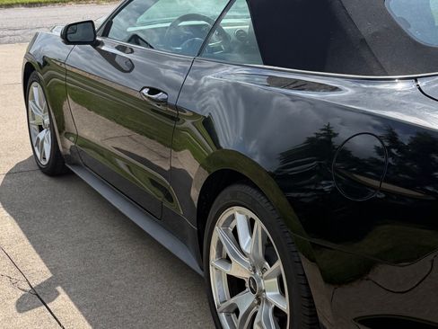 Used 2015 Ford Mustang Premium w/ 50 Years Appearance Package RWD image 2