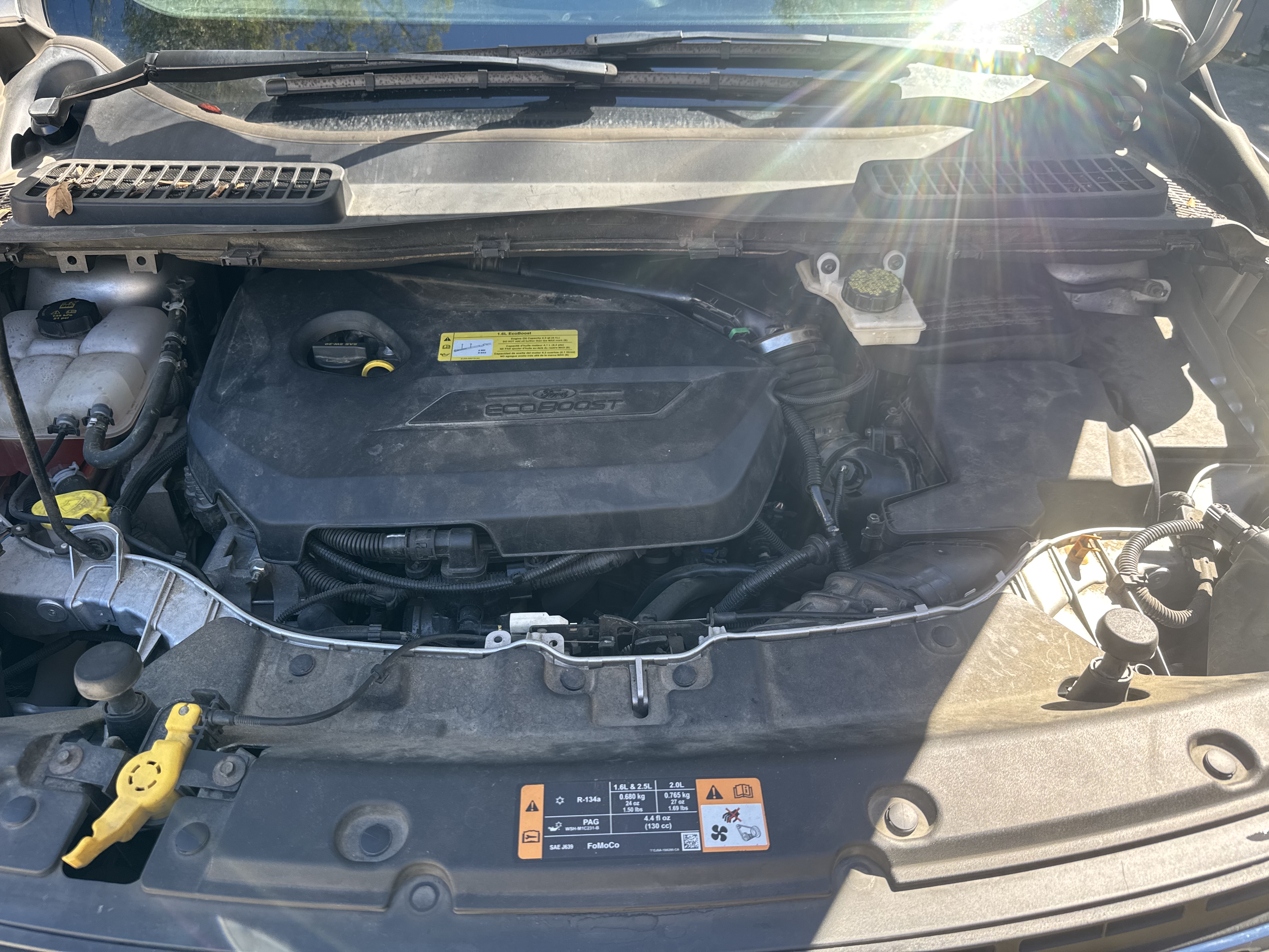 Used 2014 Ford Escape SE FWD image 24