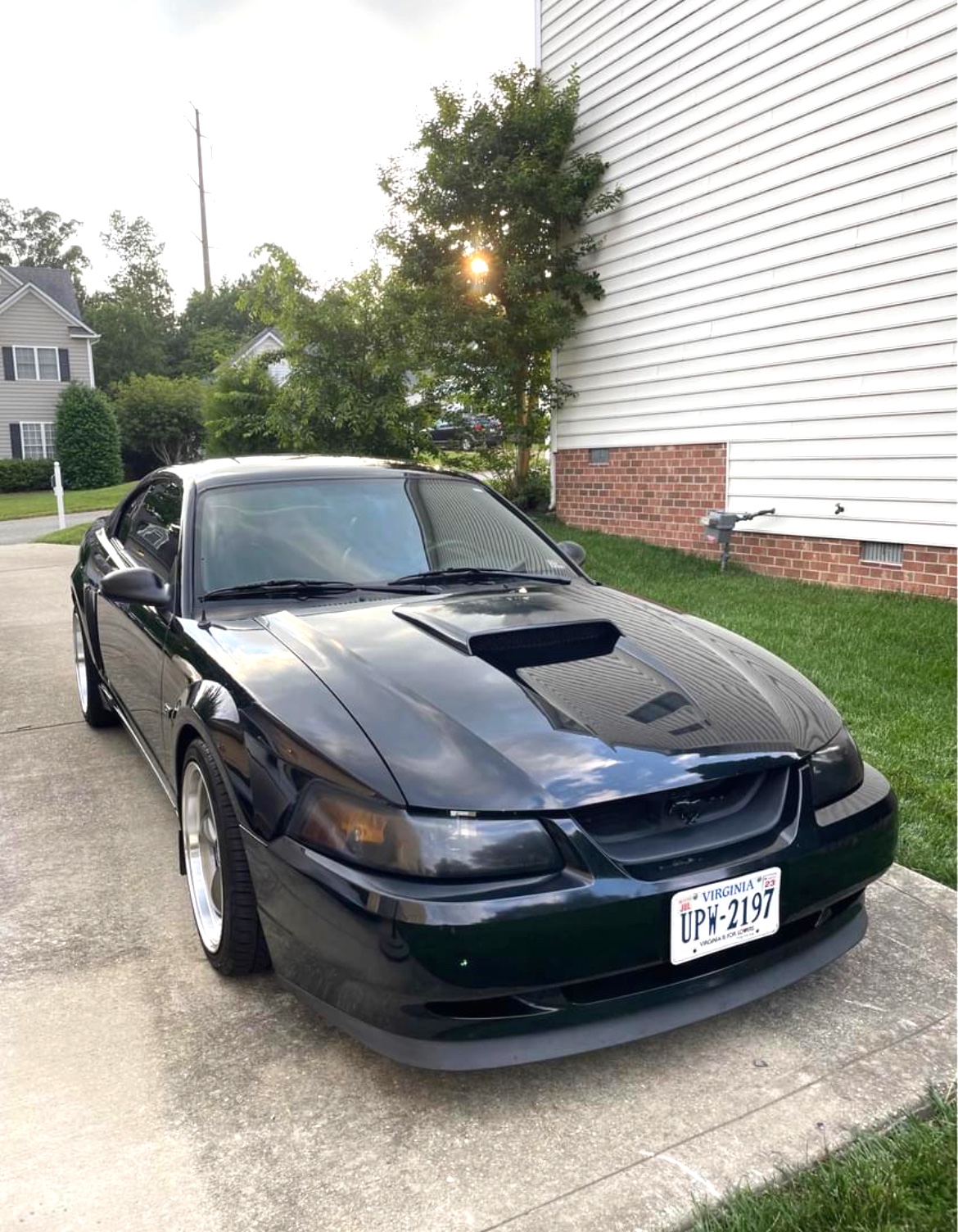 Used 2001 Ford Mustang GT RWD image 9