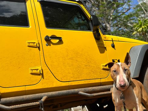 Used 2009 Jeep Wrangler Unlimited X image 15