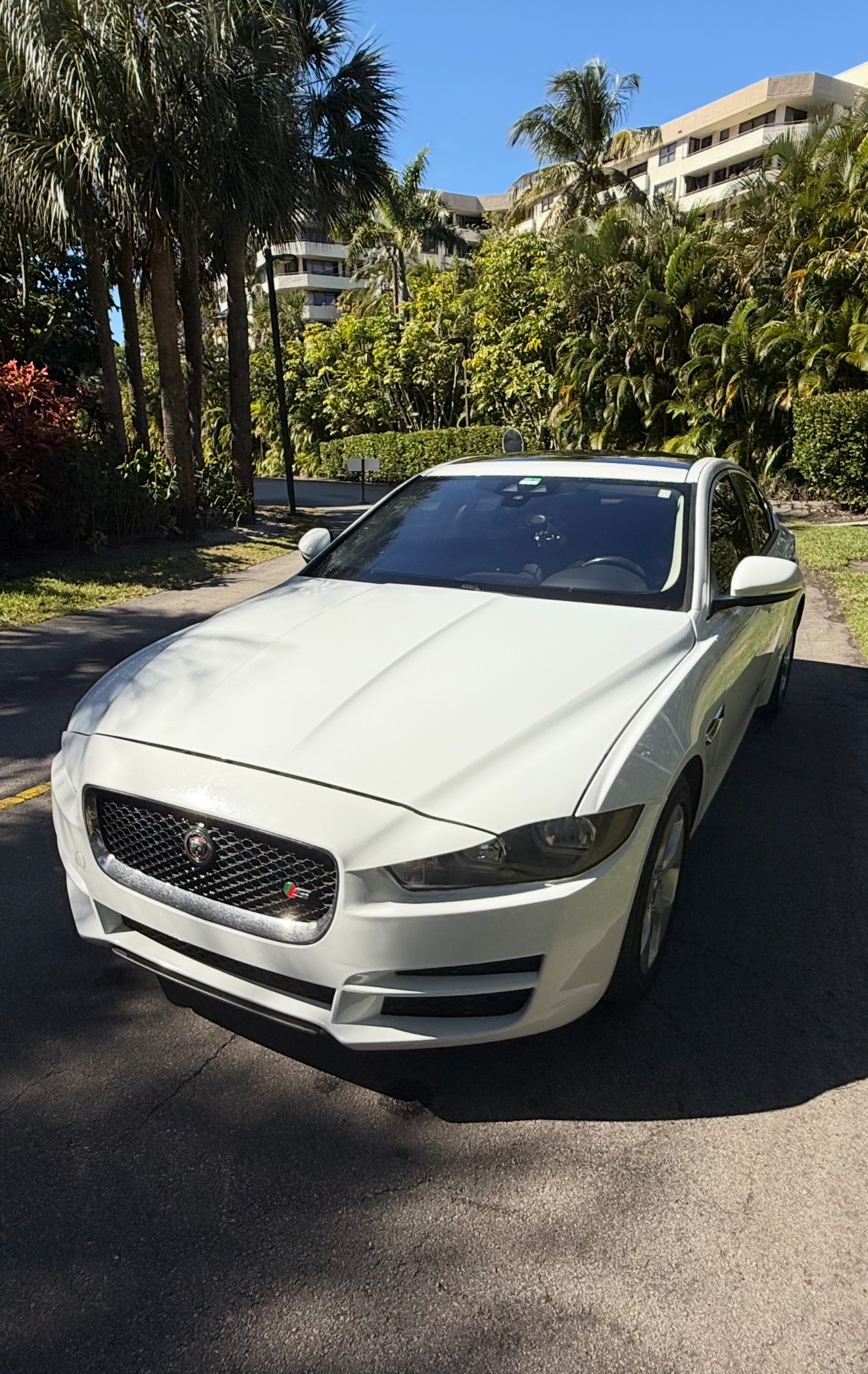 Used 2017 Jaguar XE RWD image 14