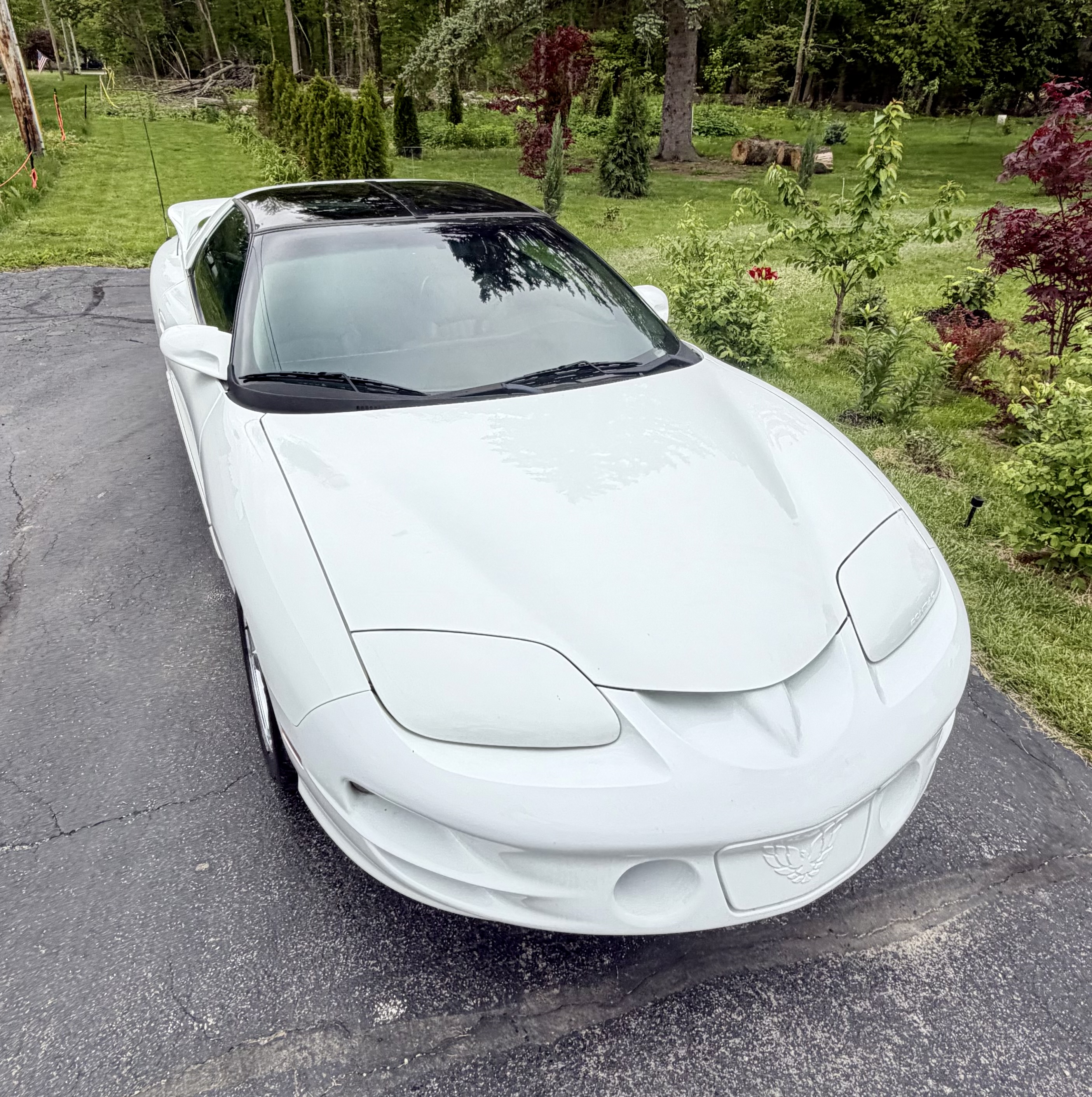 Used 2000 Pontiac Firebird Formula w/ Security Pkg RWD image 8