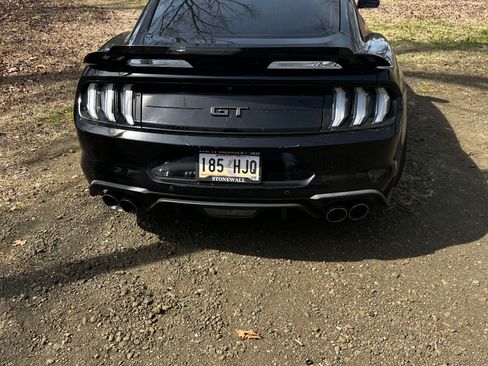 Used 2019 Ford Mustang GT w/ Equipment Group 301A image 1