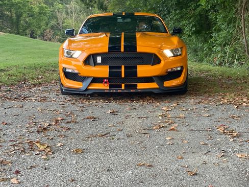 Used 2019 Ford Mustang Shelby GT350 w/ Technology Package image 12