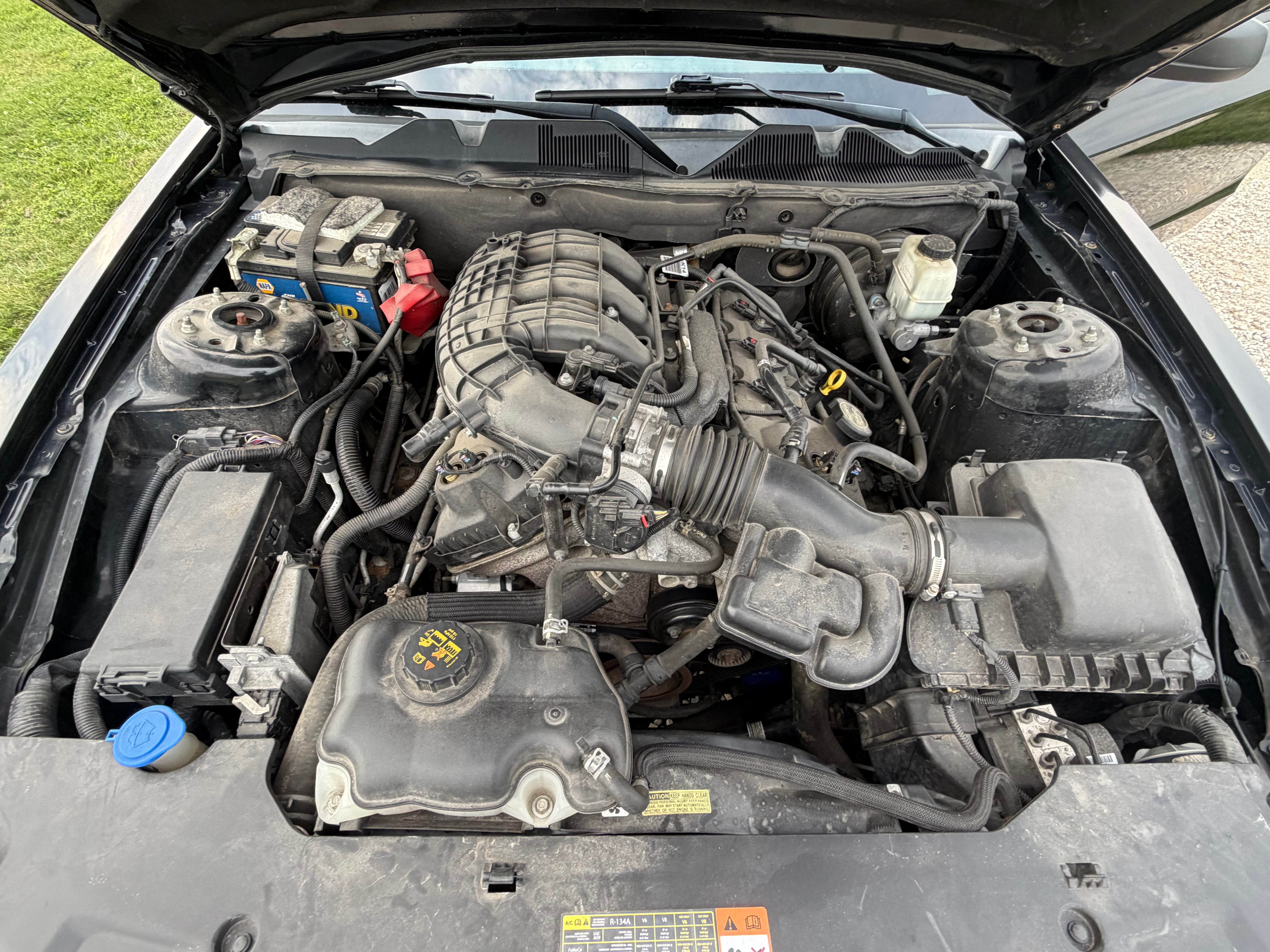 Used 2014 Ford Mustang Coupe RWD image 15