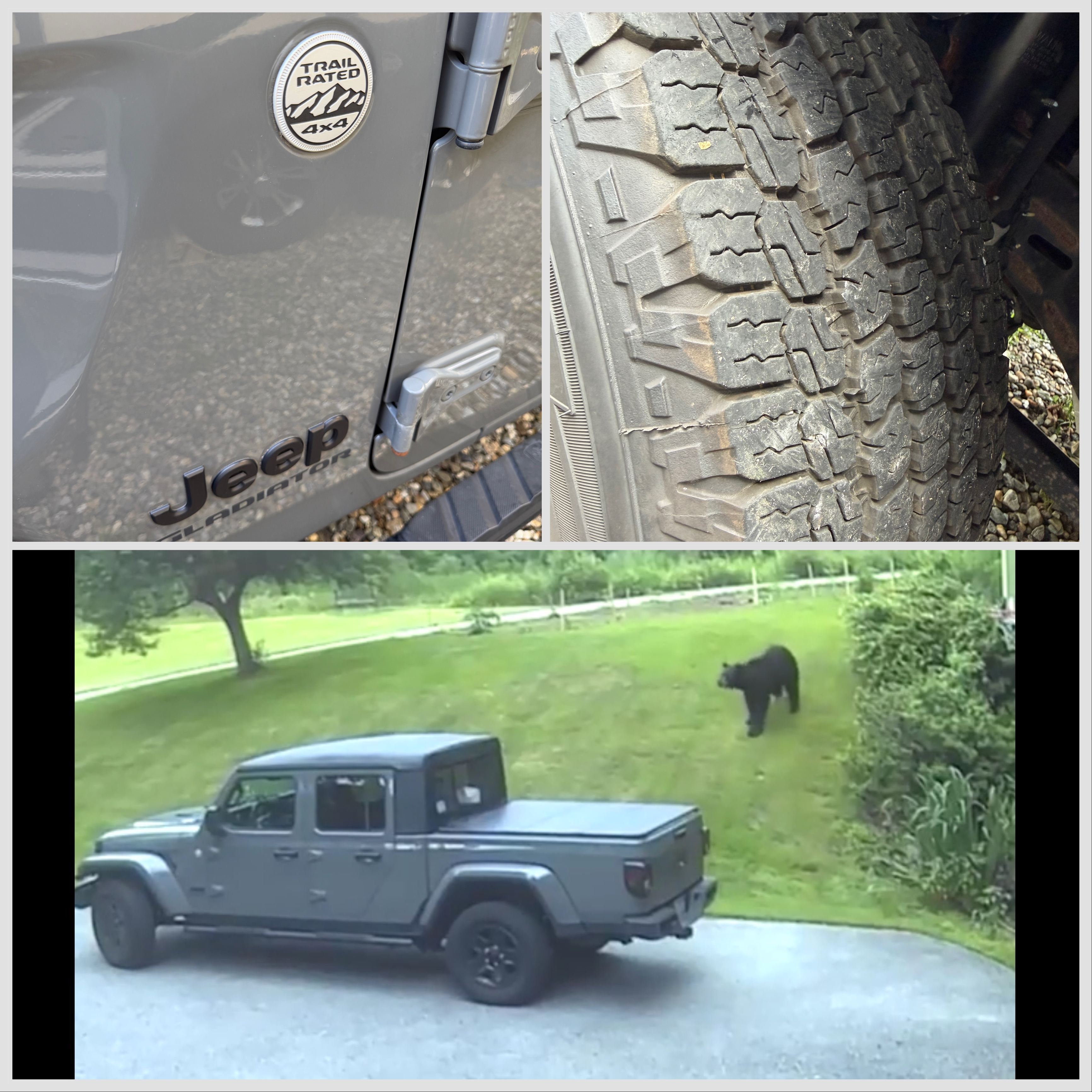 Used 2021 Jeep Gladiator Sport AWD/4WD image 10