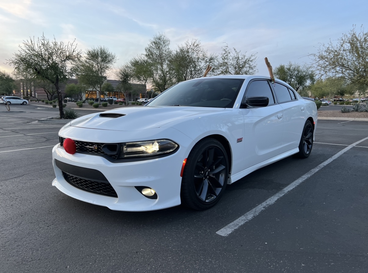 Used 2019 Dodge Charger Scat Pack w/ Driver Confidence Group RWD image 2
