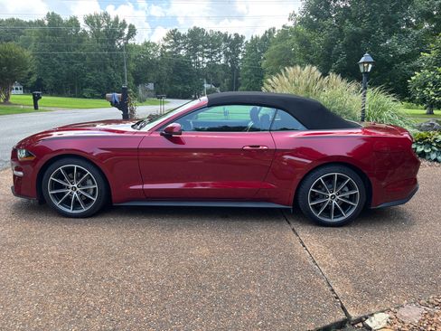 Used 2019 Ford Mustang Premium w/ Equipment Group 201A RWD image 4