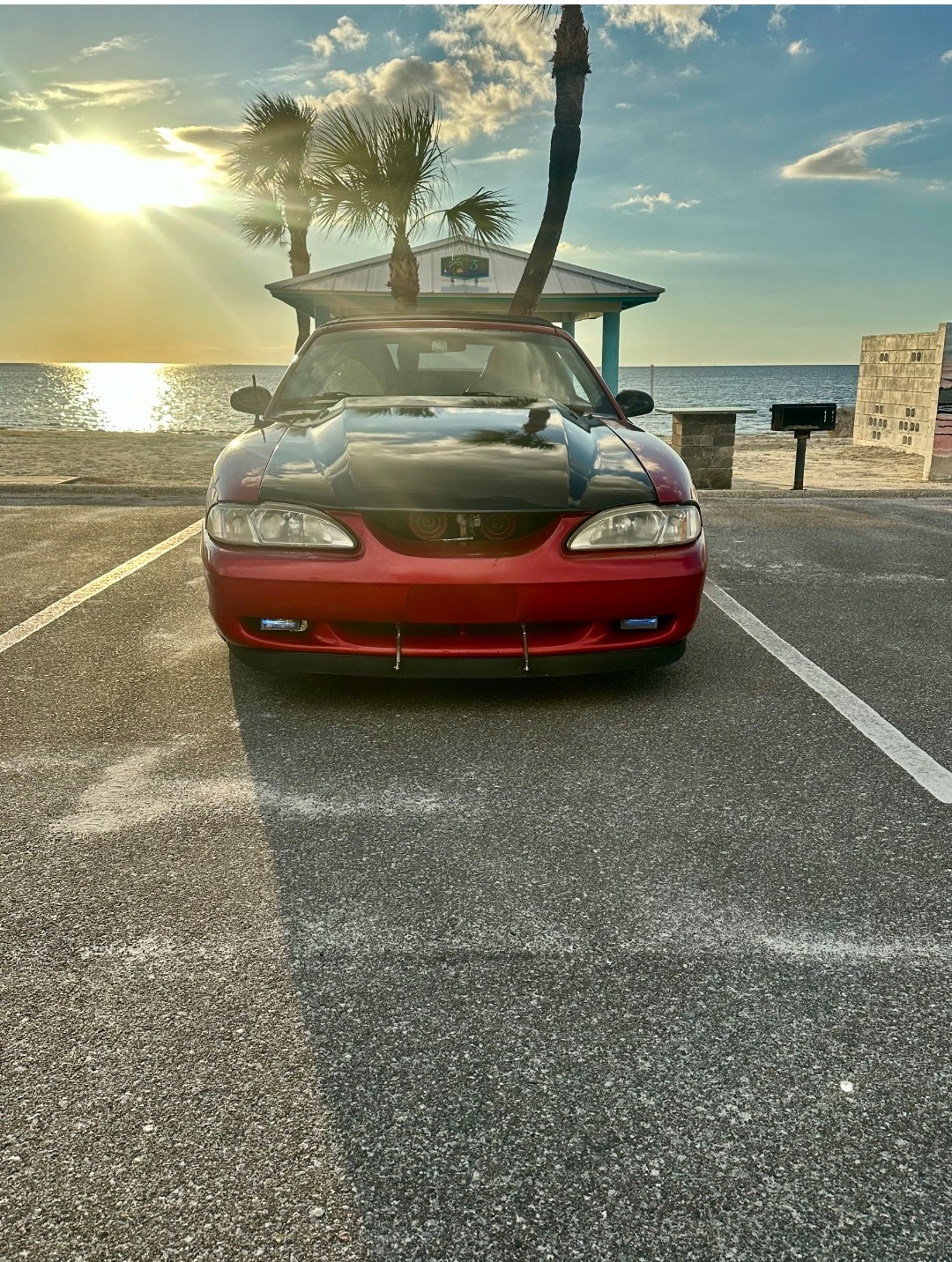 Used 1995 Ford Mustang GT RWD image 4