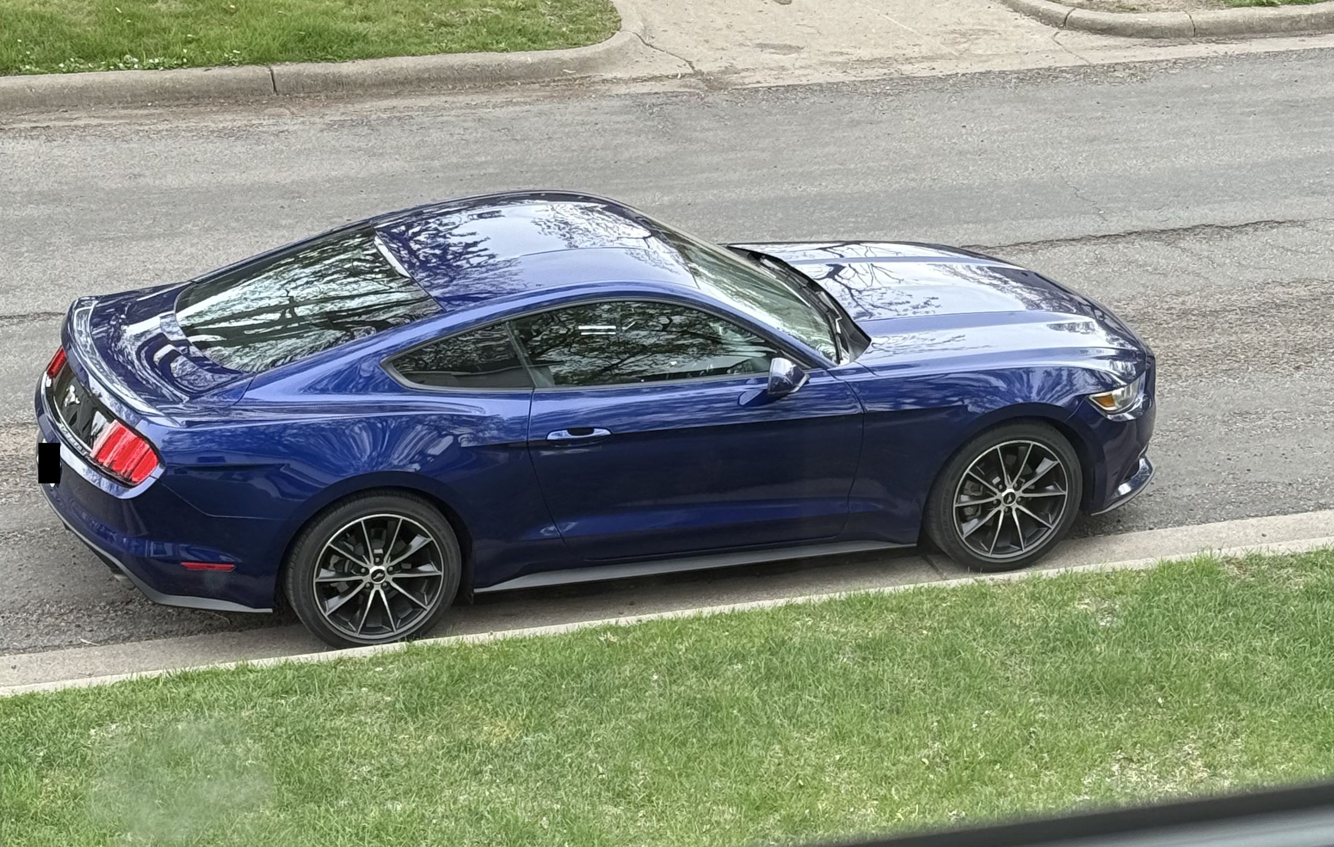 Used 2016 Ford Mustang Premium w/ Wheel & Stripe Package RWD image 6