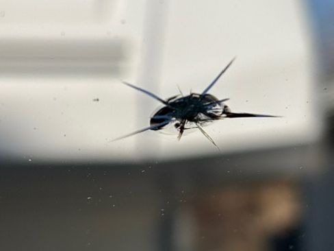 Used 2021 Toyota Tundra SR5 w/ TRD Sport Package image 19