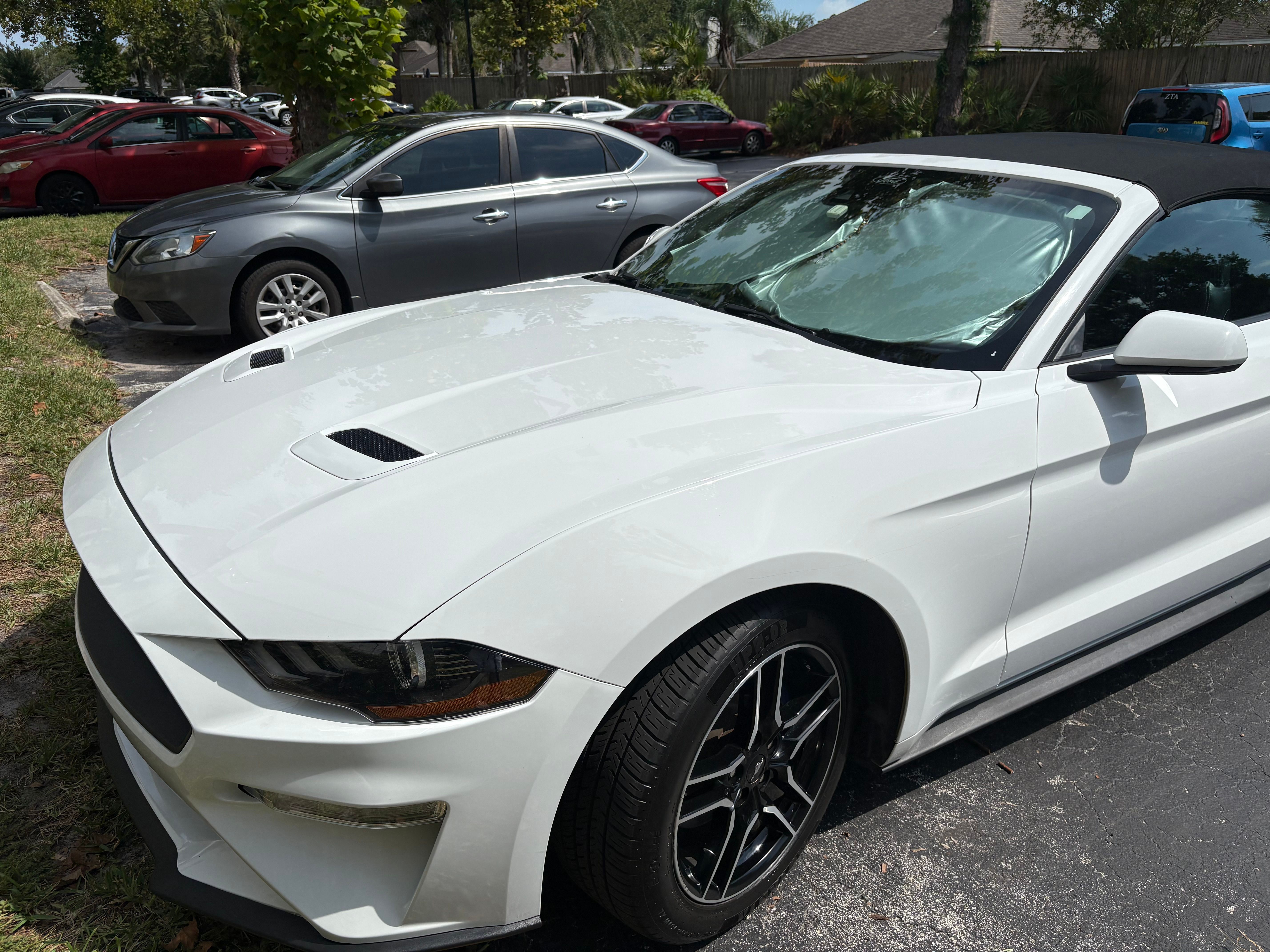 Used 2023 Ford Mustang Premium RWD image 2
