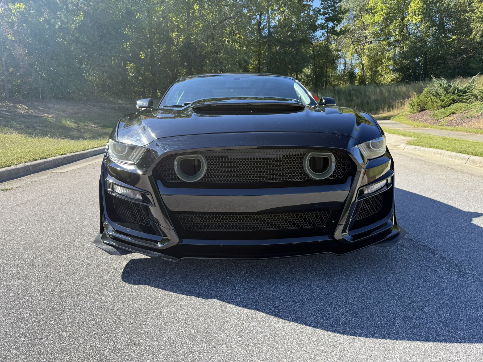 Used 2015 Ford Mustang GT Premium w/ Enhanced Security Package RWD image 5