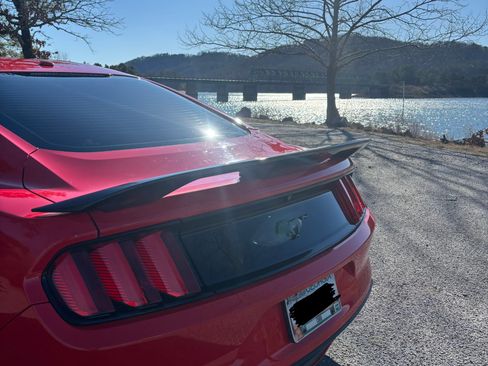 Used 2015 Ford Mustang Premium image 14