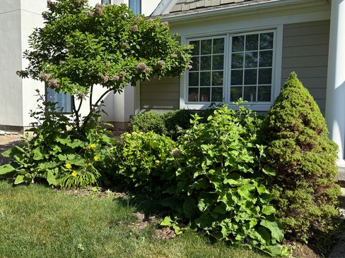 Used 2002 Porsche 911 Coupe image 18