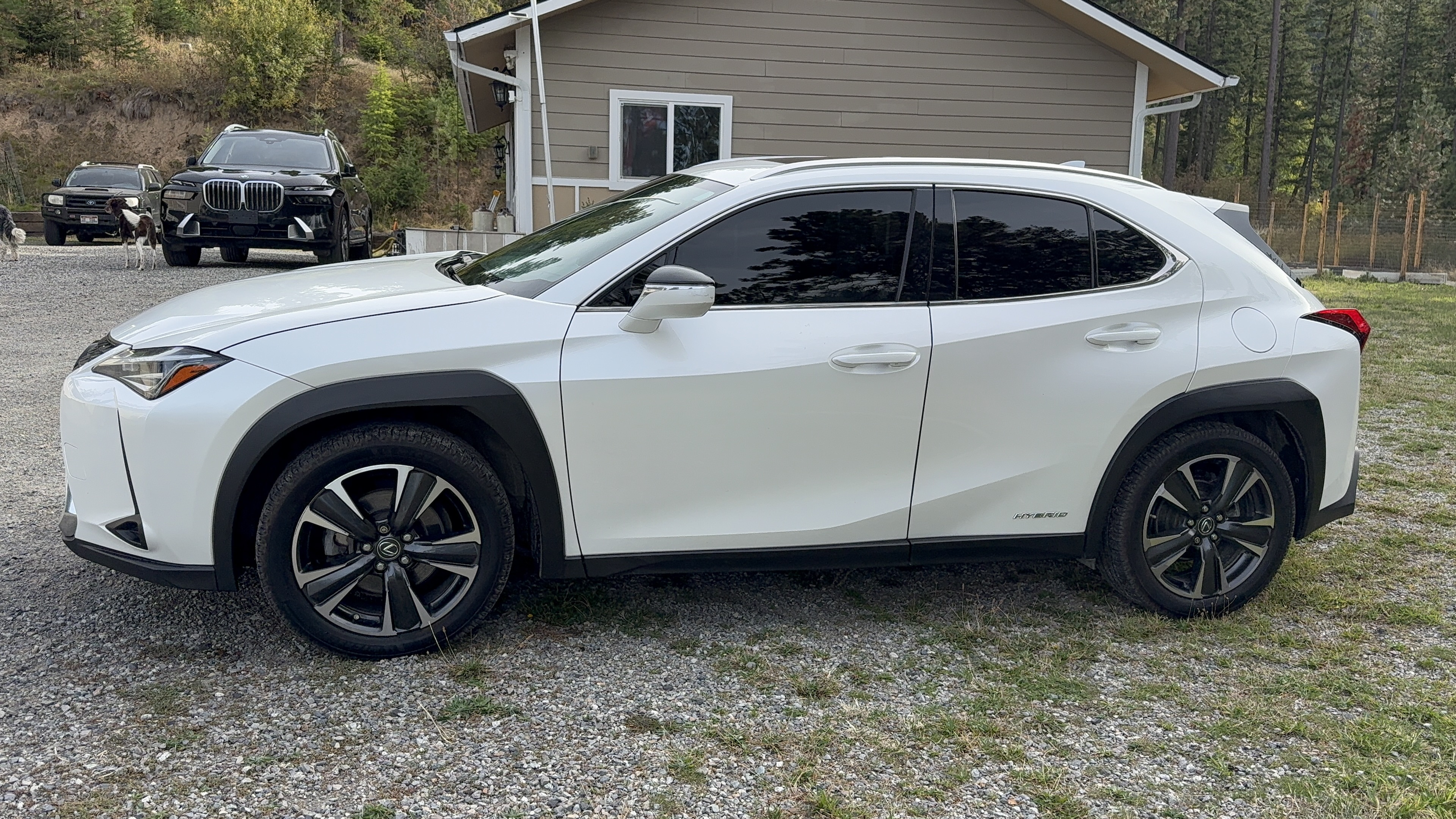 Used 2019 Lexus UX 250h w/ Premium Package AWD/4WD image 2